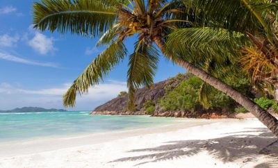 Dispelling Myths About Jamaica As The Perfect Vacation Spot