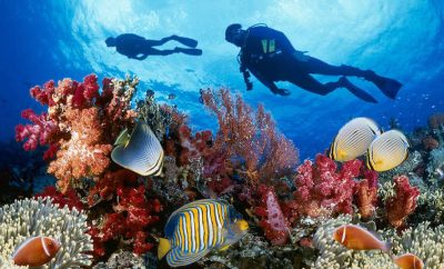 Where Are The Best Vacation Spots In Jamaica